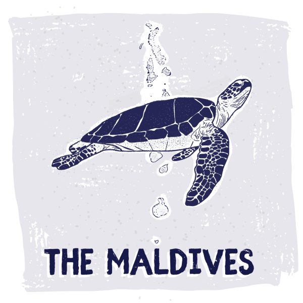 Green sea turtle