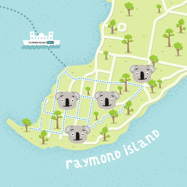 Koala trail on Raymond island