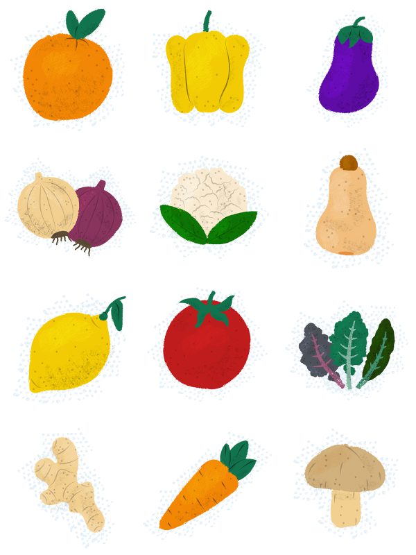 Set of 12 hand-drawn fruits and vegetables