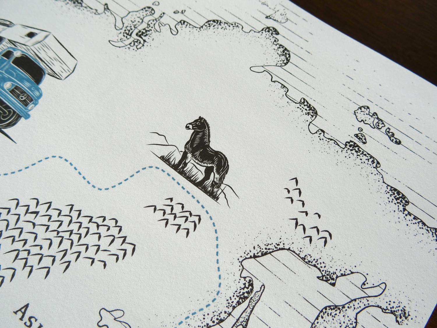 Close-up on the right page of the book with a focus on Asia with an illustrated wild mongolian horse